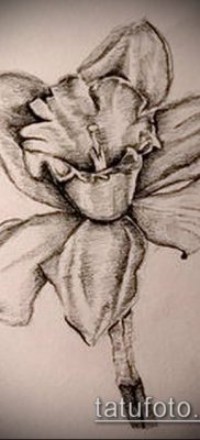 fotó egy nárcisz tetoválásról (Narcissus Tattoo) (érték) - példa rajz - 023