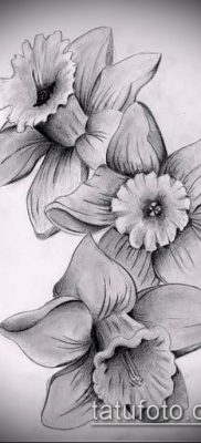 fotó egy nárcisz tetoválásról (Narcissus Tattoo) (érték) - példa rajz - 011