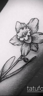fotó egy nárcisz tetoválásról (Narcissus Tattoo) (érték) - példa rajz - 009