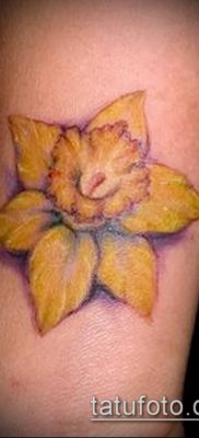 fotó egy nárcisz tetoválásról (Narcissus Tattoo) (érték) - példa rajz - 005