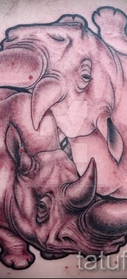 Fotó példa egy orrszarvú tetoválásra - yin -yang szimbólum
