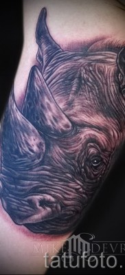 Fotó példa egy orrszarvú tetoválásra - állati arc - tetoválás a kar belső oldalán