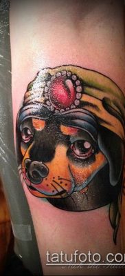 ÚJ ISKOLAI TETTÓZATOK # 902 - a kép méltó változata, amely jól használható új iskolai farkas átdolgozására és tetoválásként történő alkalmazására