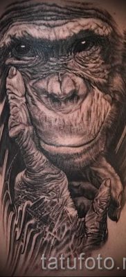 Egy majom tetoválás fotója példaként egy tetoválás jelentését bemutató cikkhez - tatufoto.ru - 51