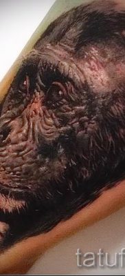 Egy majom tetoválás fotója példaként egy tetoválás jelentését bemutató cikkhez - tatufoto.ru - 44