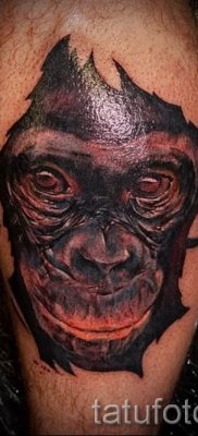 foto-tatu-obezyana-kak-primer-dlya-stati-pro-znachenie-tatuirovki-043-tatufoto-ru