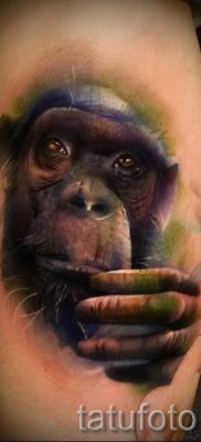 Egy majom tetoválás fotója példaként egy tetoválás jelentését bemutató cikkhez - tatufoto.ru - 14