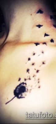 zdjęcie mniszka lekarskiego z ptakami (Dandelion Tatto) (czyli) - przykładowy rysunek - 073