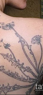 zdjęcie mniszka lekarskiego z ptakami (Dandelion Tatto) (czyli) - przykładowy rysunek - 071