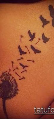 zdjęcie mniszka lekarskiego z ptakami (Dandelion Tatto) (wartość) - przykładowy rysunek - 070