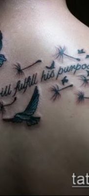 zdjęcie mniszka lekarskiego z ptakami (Dandelion Tatto) (wartość) - przykładowy rysunek - 068