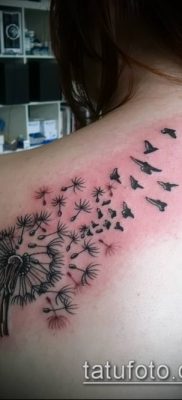 zdjęcie mniszka lekarskiego z ptakami (Dmuchawiec Tatto) (wartość) - przykładowy rysunek - 065