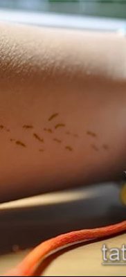 zdjęcie dmuchawca z ptakami (Dmuchawiec Tatto) (wartość) - przykładowy rysunek - 064