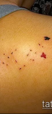 zdjęcie mniszka lekarskiego z ptakami (Dandelion Tatto) (znaczenie) - przykładowy rysunek - 055