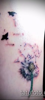 zdjęcie mniszka lekarskiego z ptakami (Dandelion Tatto) (czyli) - przykładowy rysunek - 051
