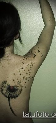 zdjęcie mniszka lekarskiego z ptakami (Dandelion Tatto) (wartość) - przykładowy rysunek - 040