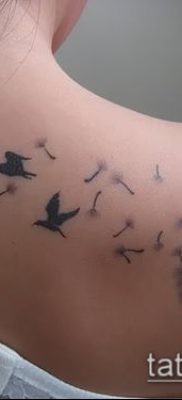 zdjęcie dmuchawca z ptakami (Dmuchawiec Tatto) (wartość) - przykładowy rysunek - 039