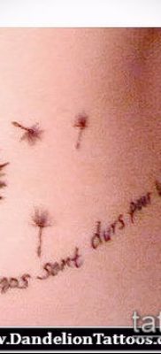 zdjęcie mniszka lekarskiego z ptakami (Dandelion Tatto) (wartość) - przykładowy rysunek - 037