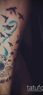 zdjęcie dmuchawca z ptakami (Dandelion Tatto) (wartość) - przykładowy rysunek - 036