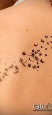 zdjęcie dmuchawca z ptakami (Dmuchawiec Tatto) (wartość) - przykładowy rysunek - 034