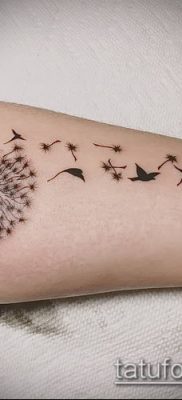 zdjęcie dmuchawca z ptakami (Dandelion Tatto) (wartość) - przykładowy rysunek - 018