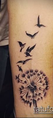 zdjęcie mniszka lekarskiego z ptakami (Dandelion Tatto) (wartość) - przykładowy rysunek - 015