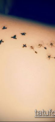 zdjęcie mniszka lekarskiego z ptakami (Dandelion Tatto) (wartość) - przykładowy rysunek - 009