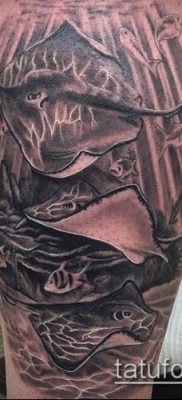 óceáni tetoválás # 250