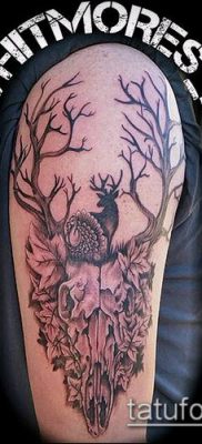 fénykép szarvas tetoválás szarvával (tetoválás) (érték) - példa rajz - 017