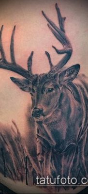 fénykép szarvas tetoválás szarvával (tetoválás) (érték) - példa rajz - 013