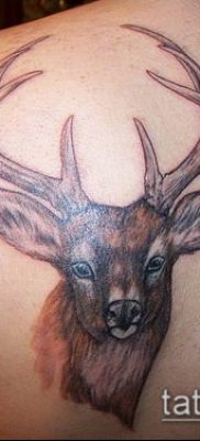 fotó egy szarvas tetoválás szarvával (tetoválás) (jelentése) - példa rajz - 003