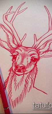 fénykép szarvas tetoválás szarvával (tetoválás) (jelentése) - példa rajz - 074