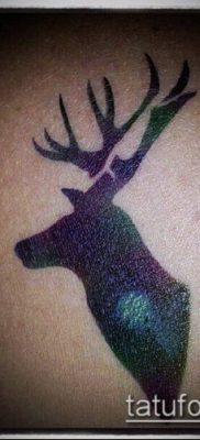 fénykép szarvas tetoválás szarvával (tetoválás) (jelentése) - példa rajz - 072