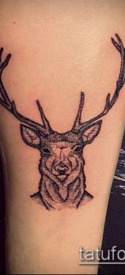 fénykép szarvas tetoválás szarvával (tetoválás) (érték) - példa rajz - 065