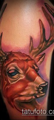 fénykép szarvas tetoválás szarvával (tetoválás) (érték) - példa rajz - 063