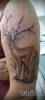 fotó egy szarvas tetoválás szarvával (tetoválás) (jelentése) - példa rajz - 057