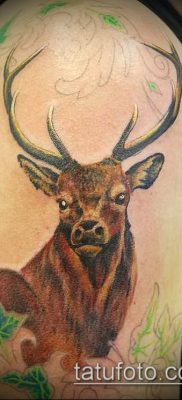 fénykép szarvas tetoválás szarvával (tetoválás) (érték) - példa rajz - 050