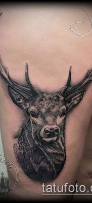 fotó egy szarvas tetoválás szarvával (tetoválás) (érték) - példa rajz - 041