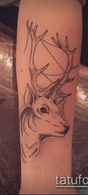 fénykép szarvas tetoválás szarvával (tetoválás) (érték) - példa rajz - 029
