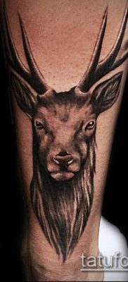 fénykép szarvas tetoválás szarvával (tetoválás) (érték) - példa rajz - 025