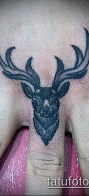 fénykép szarvas tetoválás szarvával (tetoválás) (érték) - példa rajz - 024