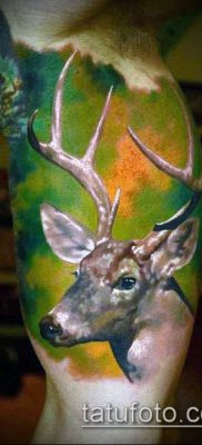 fénykép szarvas tetoválás szarvával (tetoválás) (érték) - példa rajz - 021