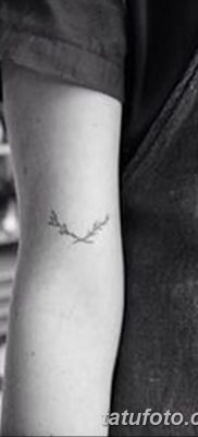 fotografija tetovaže grane masline od 13.11.2017. №001 - tetovaža maslinove grančice -