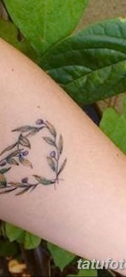 fotografija tetovaže maslinove grančice od 13.11.2017. №002 - tetovaža maslinove grančice -