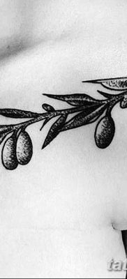 fotografija tetovaže maslinove grančice od 13.11.2017. №007 - tetovaža maslinove grančice -