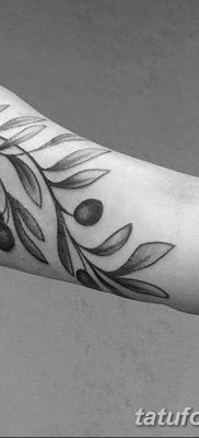 fotografija tetovaže grane masline od 13.11.2017. №015 - tetovaža maslinove grančice -