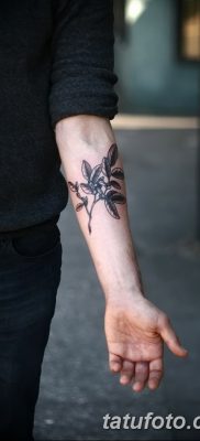 fotografija tetovaže maslinove grančice od 13.11.2017. №017 - tetovaža maslinove grančice -