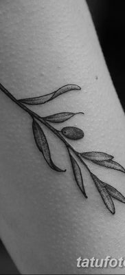 fotografija tetovaže grane masline od 13.11.2017. №019 - tetovaža maslinove grančice -