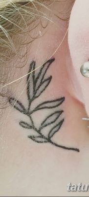fotografija tetovaže maslinove grančice od 13.11.2017. №032 - tetovaža maslinove grančice -