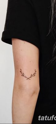 fotografija tetovaže maslinove grančice od 13.11.2017. №033 - tetovaža maslinove grančice - 23562134262